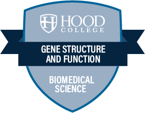Gene Structure and Function